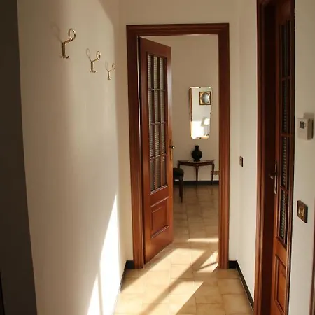 Host Millenaria 卡莫利