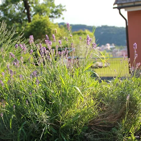 度假居 Host Millenaria *