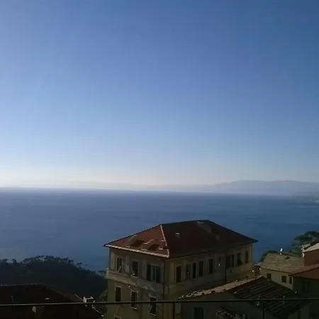 Host Millenaria 卡莫利