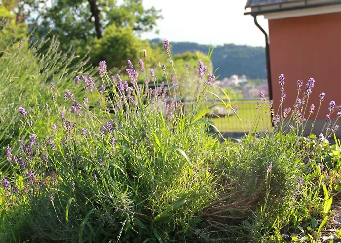 Semesterbostad Host Millenaria *